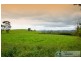 230 Old Telegraph Road, Jindivick VIC 3818