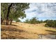 2064 Old Sale Rd, Shady Creek VIC 3821