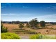 77 Twin Ranges Drive, Warragul VIC 3820
