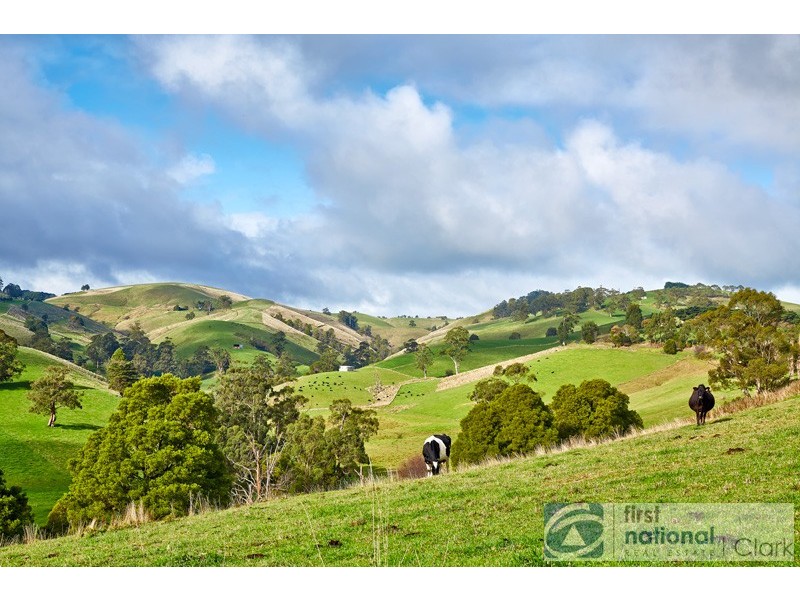 435 Mountain View Road, Mountain View VIC 3988