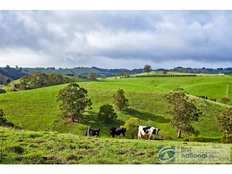 435 Mountain View Road, Mountain View VIC 3988