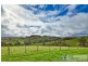 435 Mountain View Road, Mountain View VIC 3988