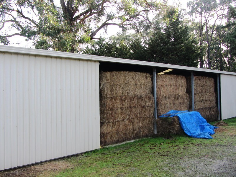 153 Darnum-Shady Creek Rd, Darnum VIC 3822