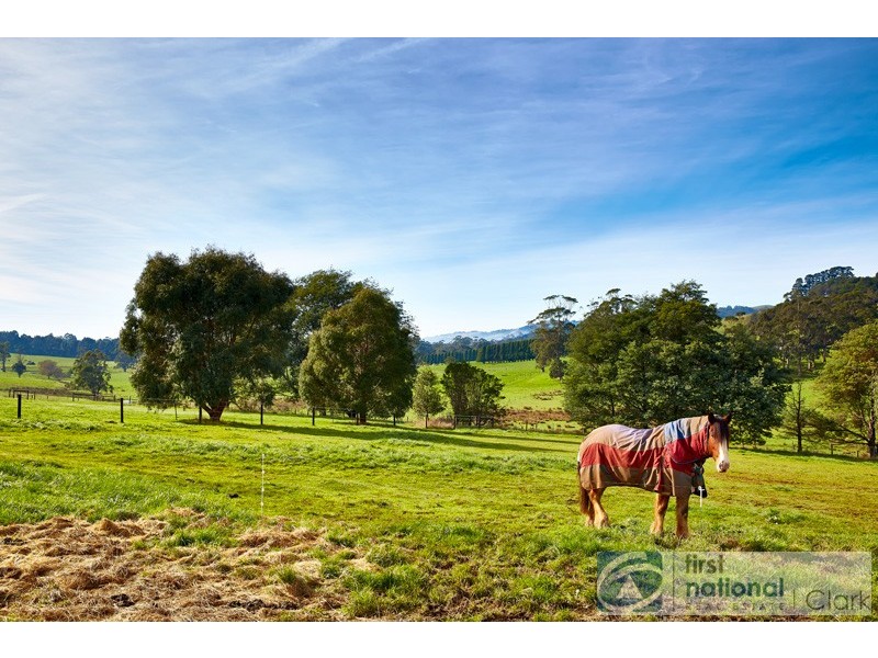 130 Cropleys Road, Ellinbank VIC 3821