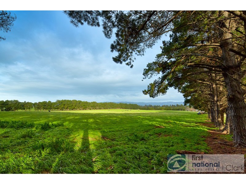 100 Silbys Road, Darnum VIC 3822