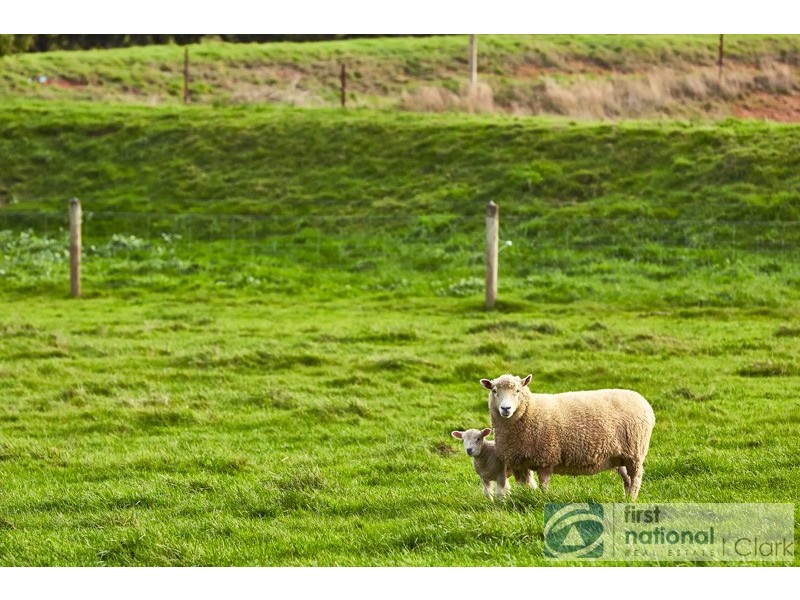 100 Silbys Road, Darnum VIC 3822