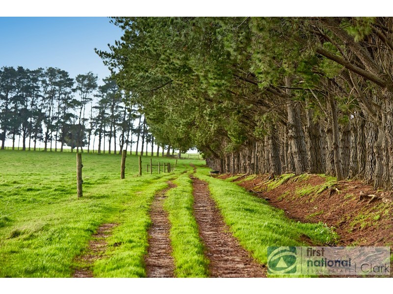 100 Silbys Road, Darnum VIC 3822