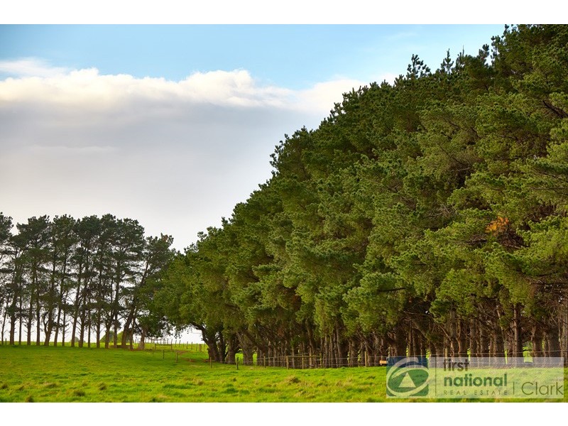 100 Silbys Road, Darnum VIC 3822