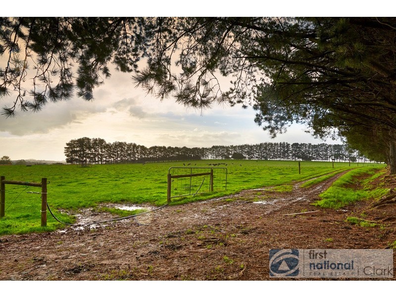 100 Silbys Road, Darnum VIC 3822