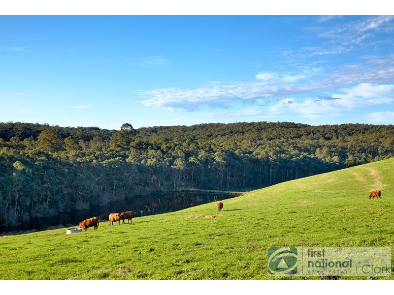 497 Old Telegraph Road East, Crossover VIC 3821