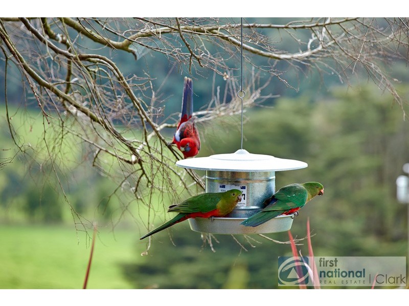 497 Old Telegraph Road East, Crossover VIC 3821