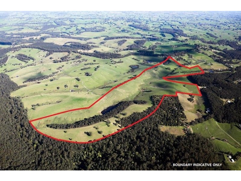 497 Old Telegraph Road East, Crossover VIC 3821