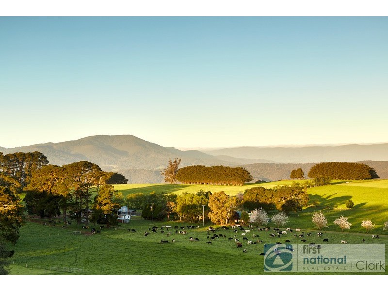 35 Olsson Road, Neerim North VIC 3821