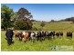 1718 Main Neerim Road, Neerim South VIC 3831
