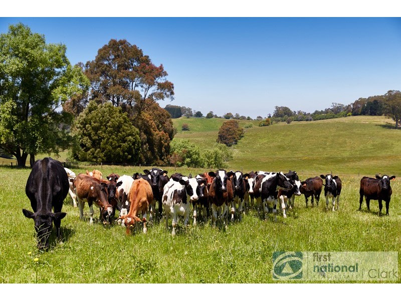 1718 Main Neerim Road, Neerim South VIC 3831
