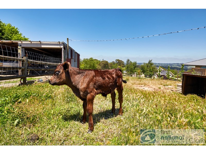 271 Main Neerim Road, Neerim South VIC 3831