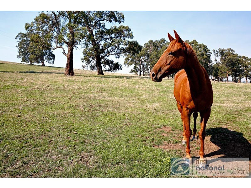 66 Duncans Road, Nilma North VIC 3821