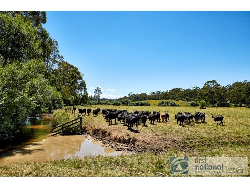 635 Main Neerim Road, Drouin West VIC 3818