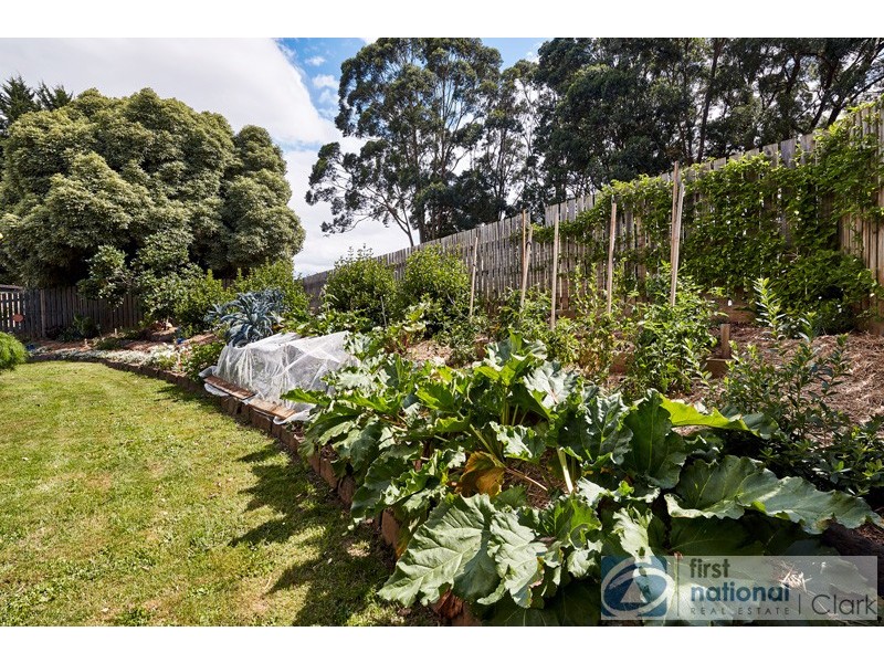 17 Lillico Road, Warragul VIC 3820