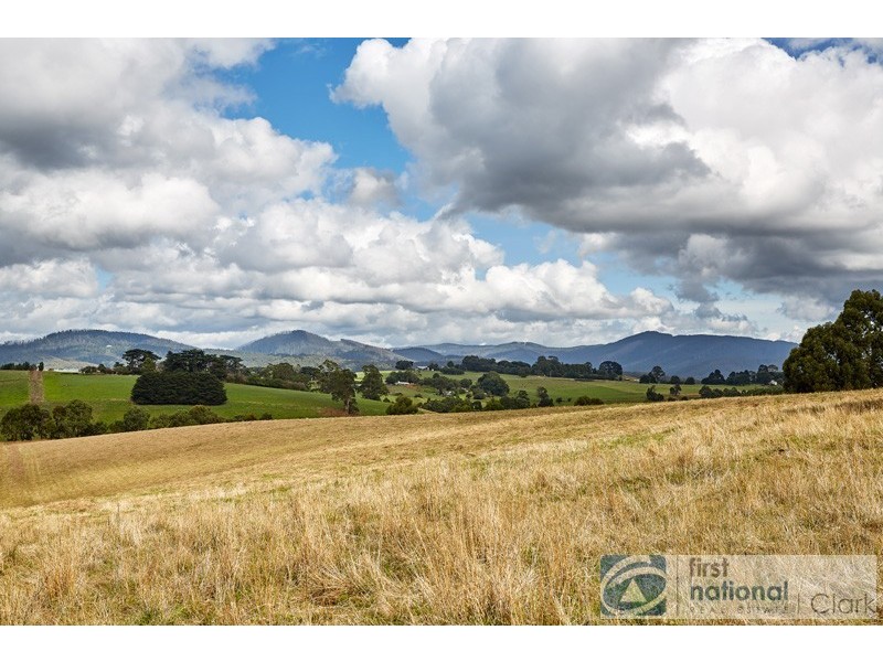 195 Sheffield Road, Neerim South VIC 3831