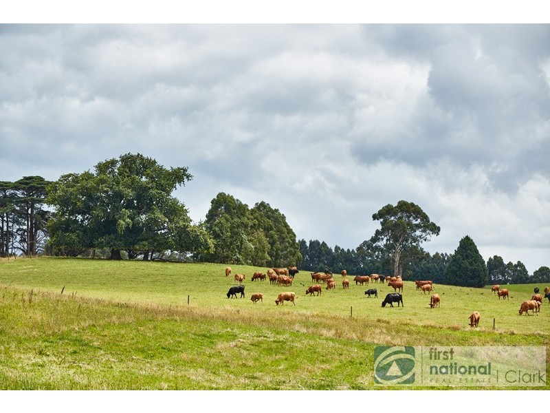 195 Sheffield Road, Neerim South VIC 3831