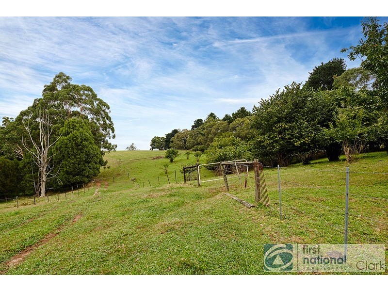 1450 Jacksons Track, Jindivick VIC 3818
