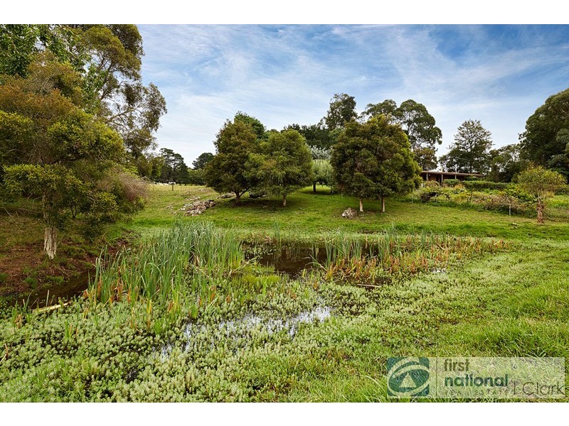 1450 Jacksons Track, Jindivick VIC 3818