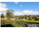 3 Burtonwood Court, Neerim South VIC 3831
