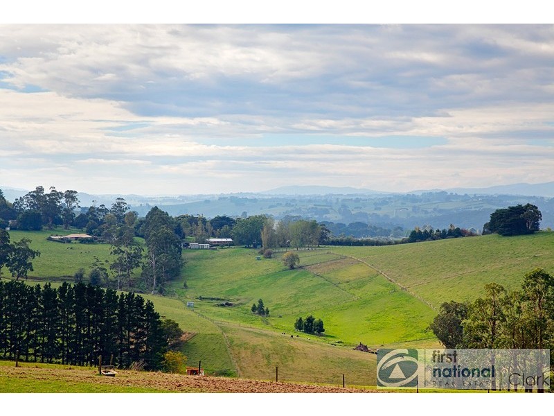 100 Shearn Road, Jindivick VIC 3818