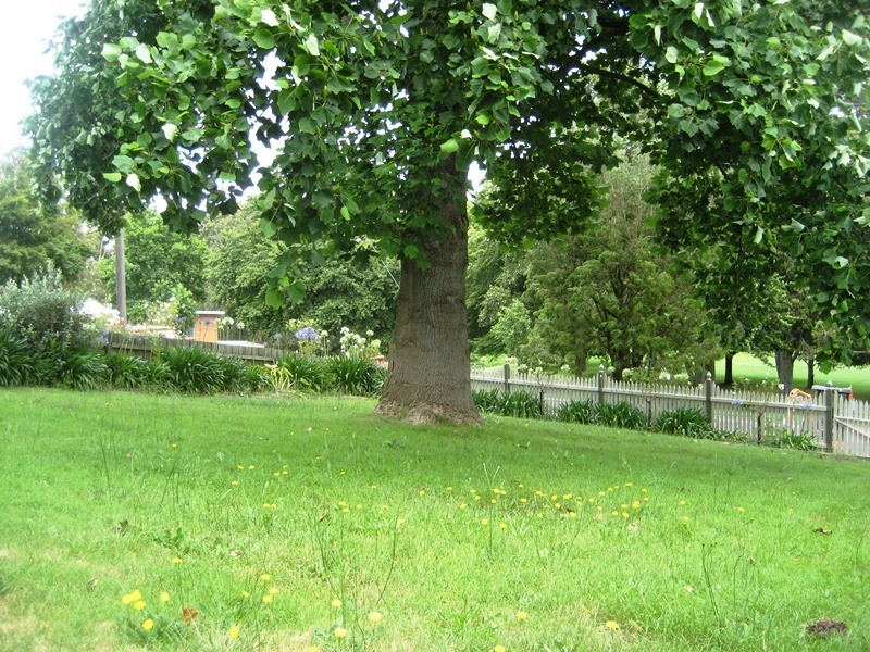 84 Bowen Street, Warragul VIC 3820