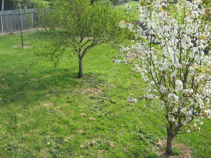 17 Tracie Court, Drouin VIC 3818