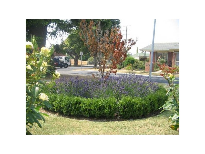 4 Rees Close, Drouin VIC 3818