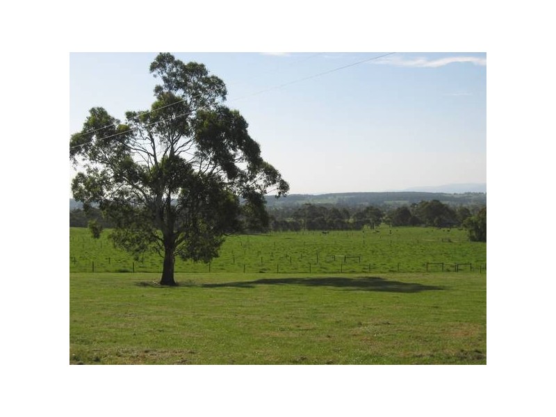 4 McIntyre Road, Yarragon VIC 3823