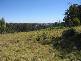 837 Jacksons Track, Jindivick VIC 3818