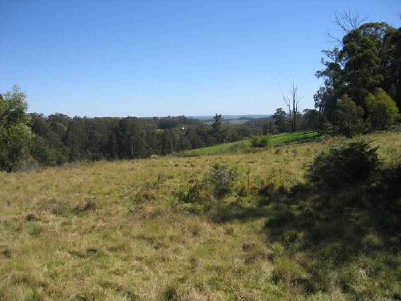 837 Jacksons Track, Jindivick VIC 3818