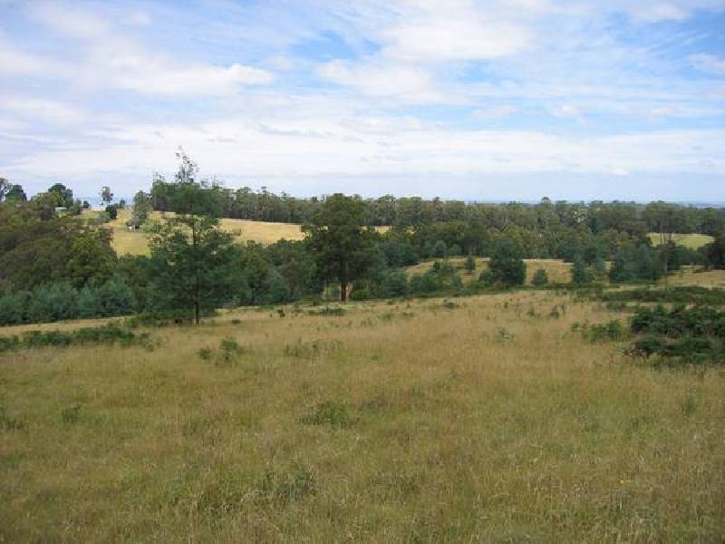 837 Jacksons Track, Jindivick VIC 3818
