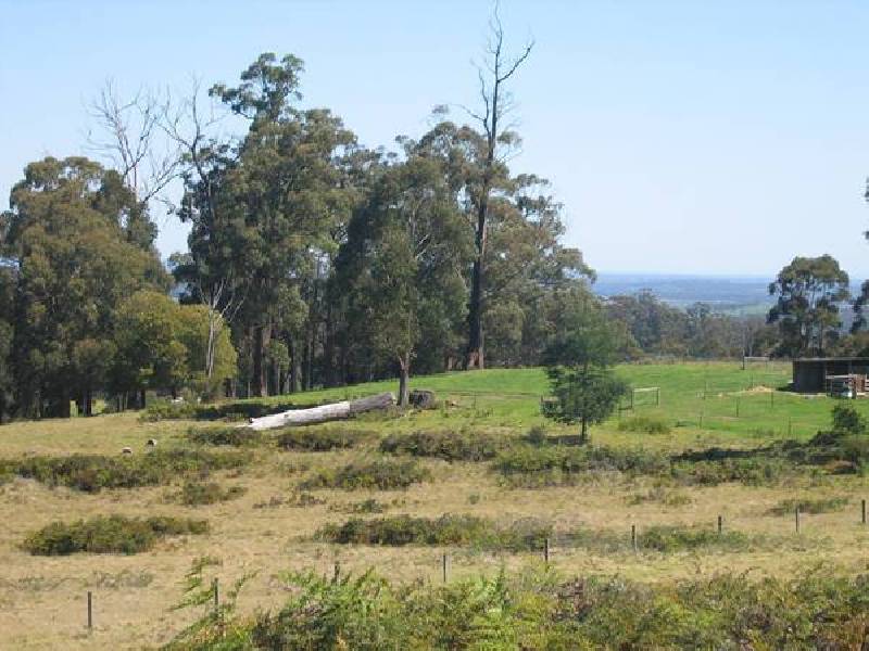 837 Jacksons Track, Jindivick VIC 3818