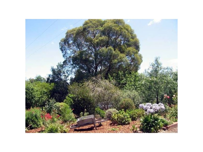 35 Tymkin Road, Rokeby VIC 3821