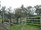 Forest Road, Labertouche VIC 3816