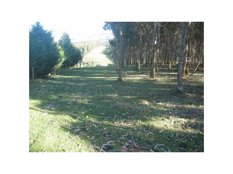 Allmans Road, Trida VIC 3953
