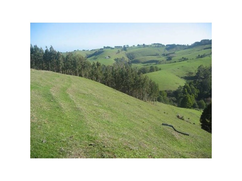 Allmans Road, Trida VIC 3953