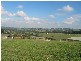 28 Shirley Road, Neerim South VIC 3831