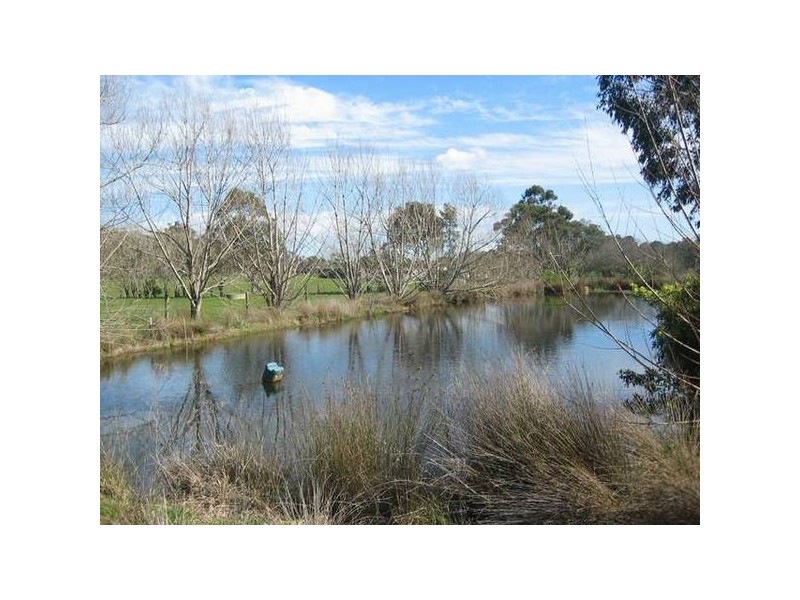 125 Forest Road,, Labertouche VIC 3816
