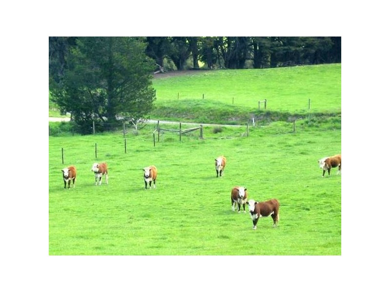 1 Grandridge Road, Hallston VIC 3953