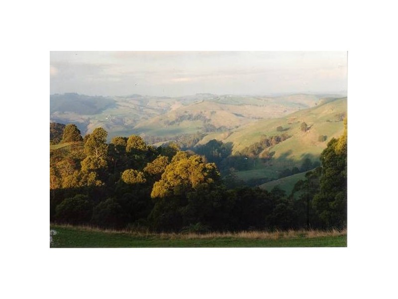 Warragul Korumburra Rd, Strzelecki VIC 3950