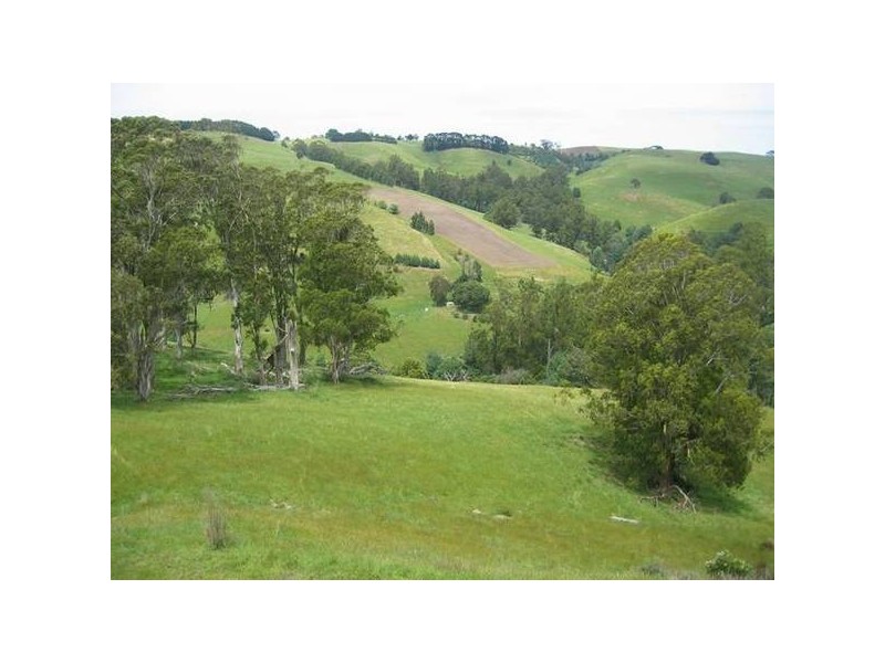 Warragul Korumburra Rd, Strzelecki VIC 3950