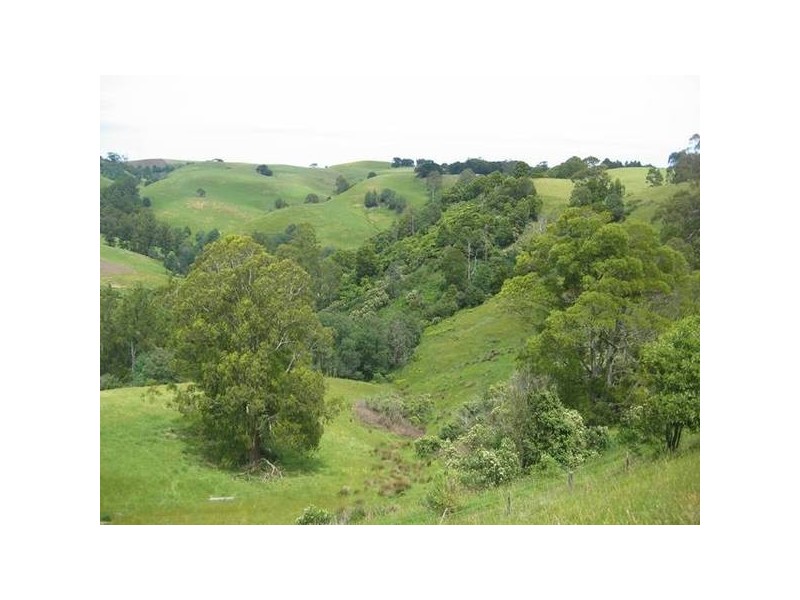 Warragul Korumburra Rd, Strzelecki VIC 3950