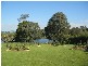 18 Fernery Boulevard, Warragul VIC 3820