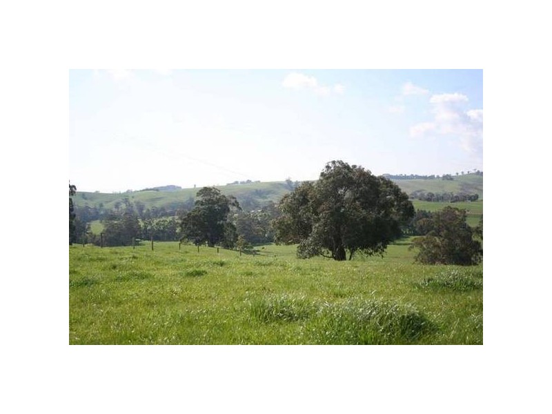 115 Standfields Road, Poowong North VIC 3988