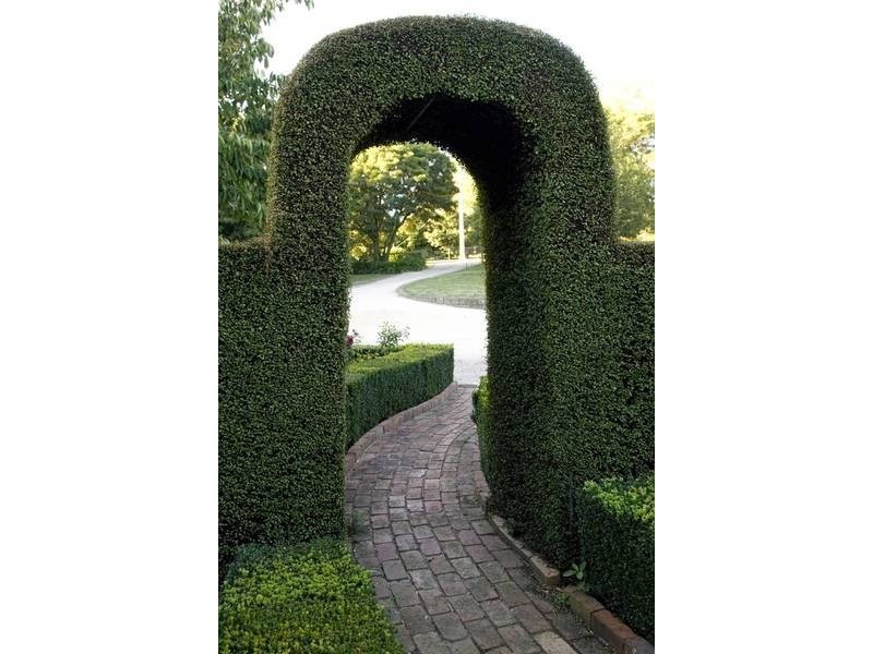 570 East West Road, Warragul VIC 3820